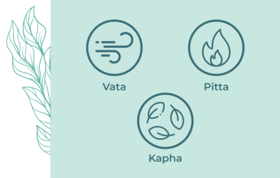 Pakriti Parikshan min 550x350 1