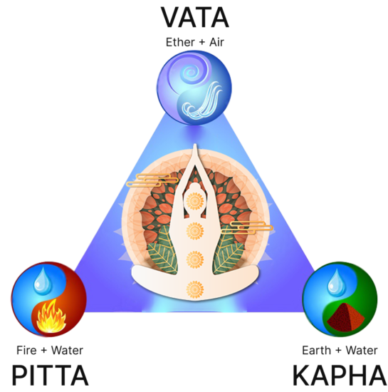 What is prakriti 545x550 1